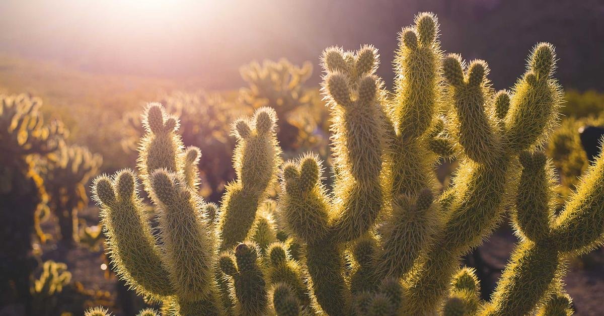 Ethereum: Harga, Upgrade, dan Dampaknya pada Dapps